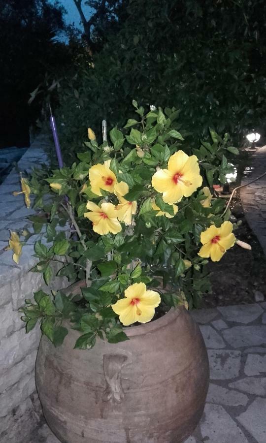 Arvanitakeika Villa Loulaki Magazia Paxi מראה חיצוני תמונה